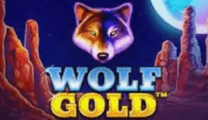 wolf gold