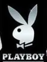 สัญลักษณ์ Wild