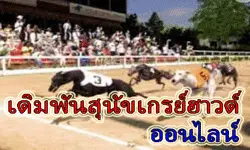 พนันเกรย์ฮาวร์ออนไลน์