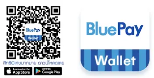 Bluepay wallet