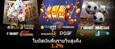 Jw8 โบนัสคืนเงินรายวัน 1.2%