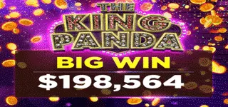 ฺBigwin The King Panda 