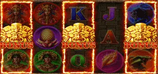 สัญลักษณ์เกม The Wild Wings Of Phoenix