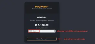 paytrust88