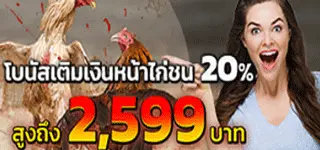 45PLUS รับโบนัสเติมเงินรายวันไก่ชน