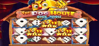 รีวิวเกมสล็อต The Dog House Dice Show