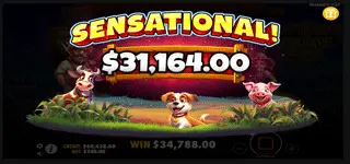 Barnyard Megahays Megaways สล็อต การจ่ายเงิน