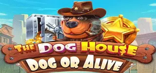 The Dog House – Dog or Alive