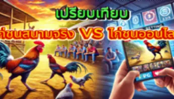 เปรียบเทียบ ไก่ชนสนามจริง vs ไก่ชนออนไลน์🐓 