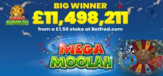 mega moolan big win
